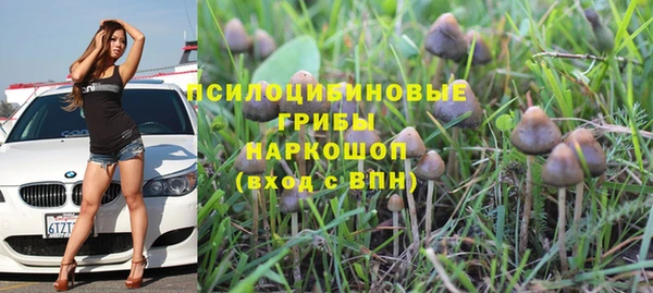 стафф Арсеньев