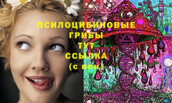 амф Армянск
