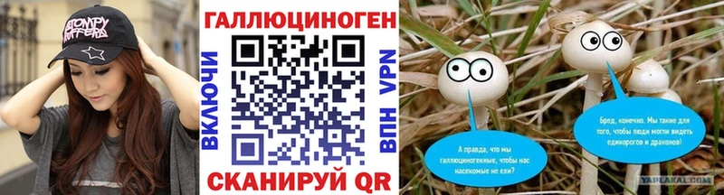 блэк спрут маркетплейс  что такое наркотик  Зуевка  Галлюциногенные грибы Psilocybine cubensis 