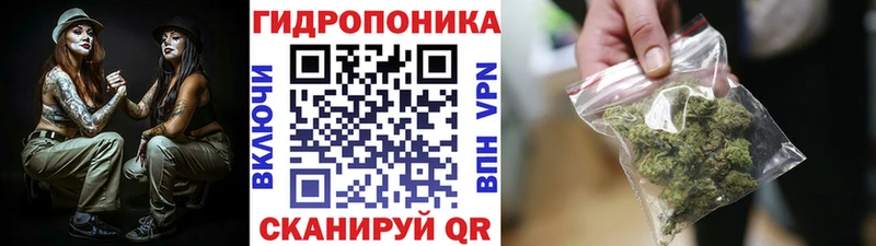 МАРИХУАНА SATIVA & INDICA  Зуевка 